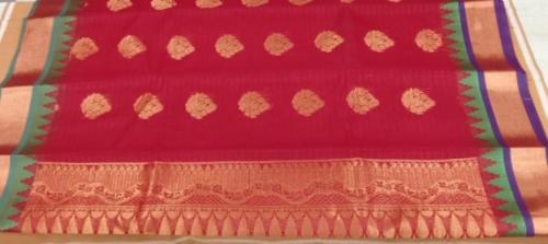 PL BIG BUTTA SAREE